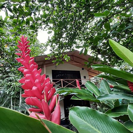 Apartamento Casa Martina Cahuita Exterior foto