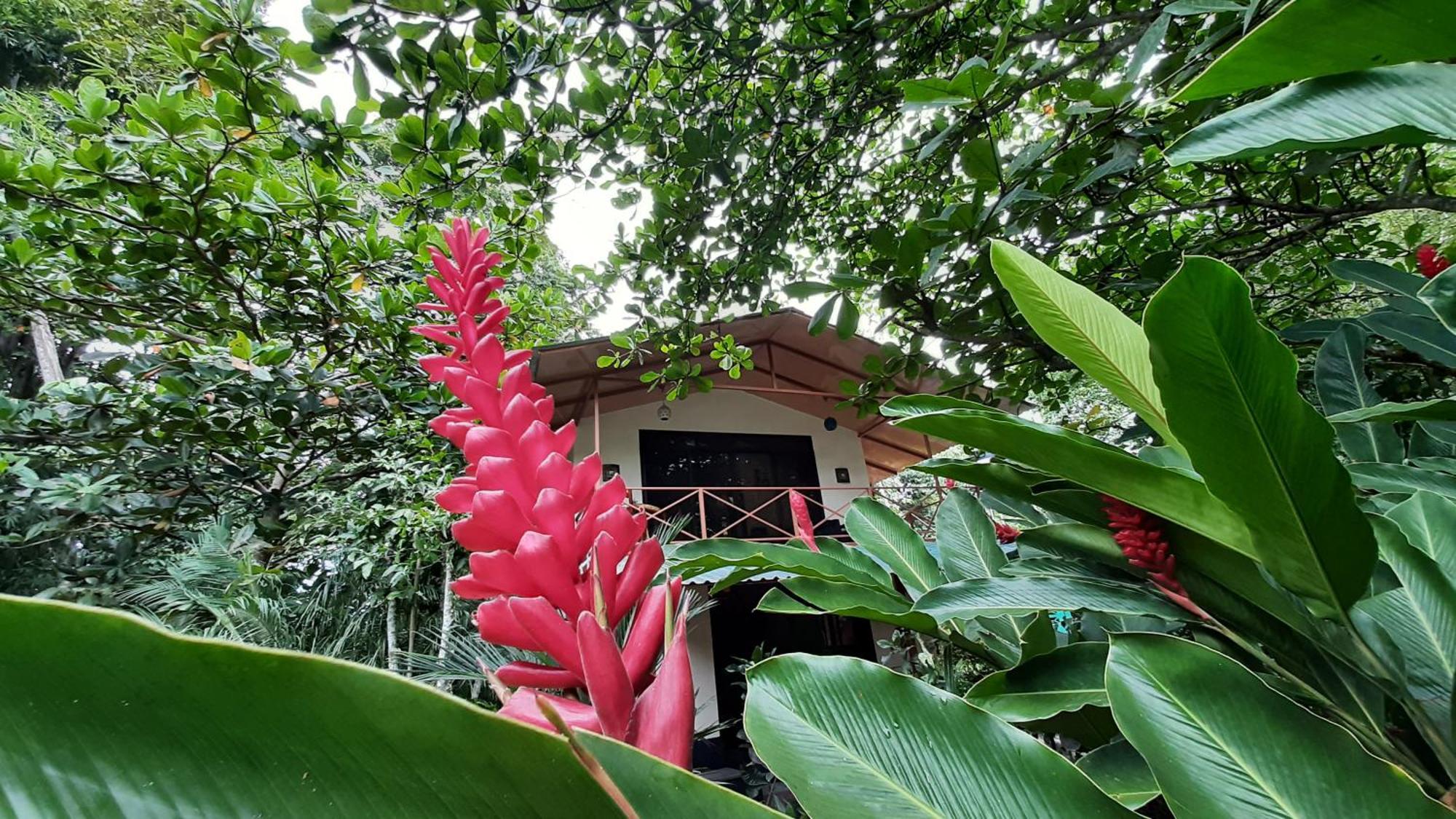 Apartamento Casa Martina Cahuita Exterior foto